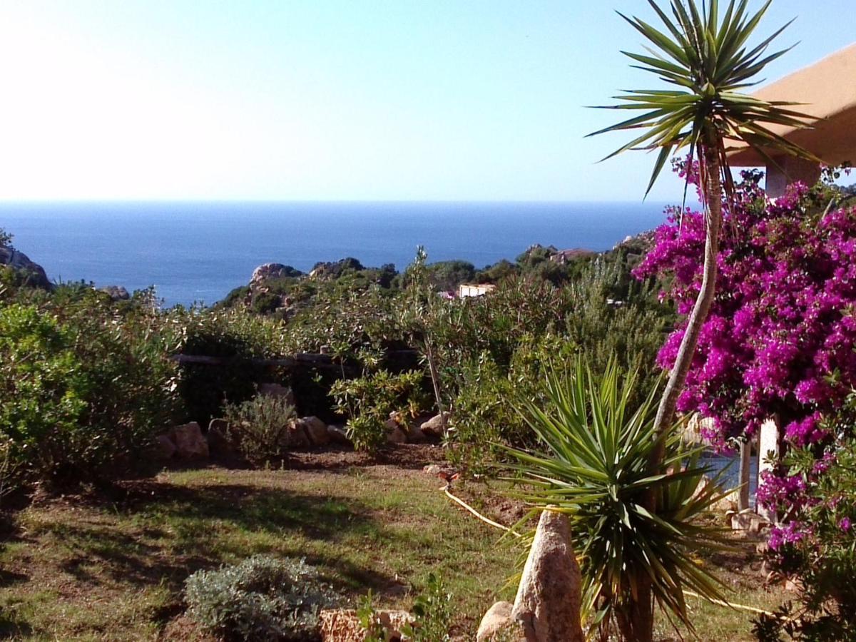 Villetta Rocchi - Costa Paradiso Kültér fotó