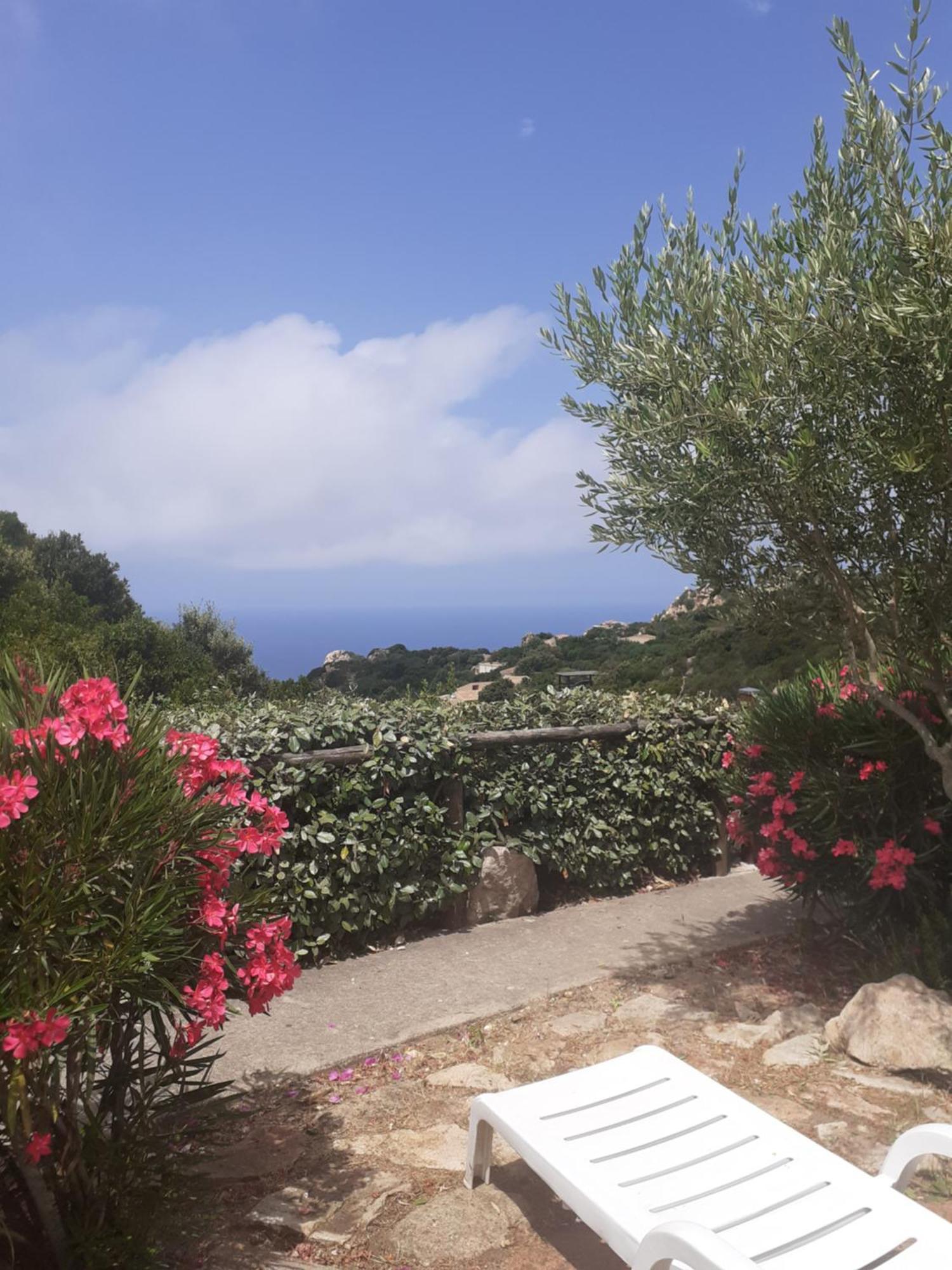 Villetta Rocchi - Costa Paradiso Kültér fotó